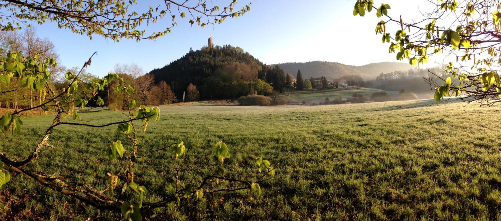 Le Gite De L'Ecureuil Sturzelbronn 外观 照片