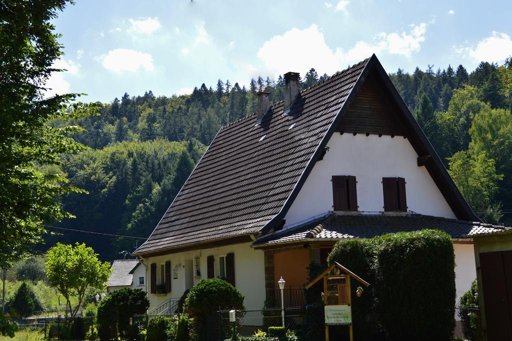Le Gite De L'Ecureuil Sturzelbronn 外观 照片