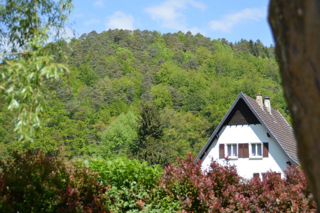 Le Gite De L'Ecureuil Sturzelbronn 外观 照片