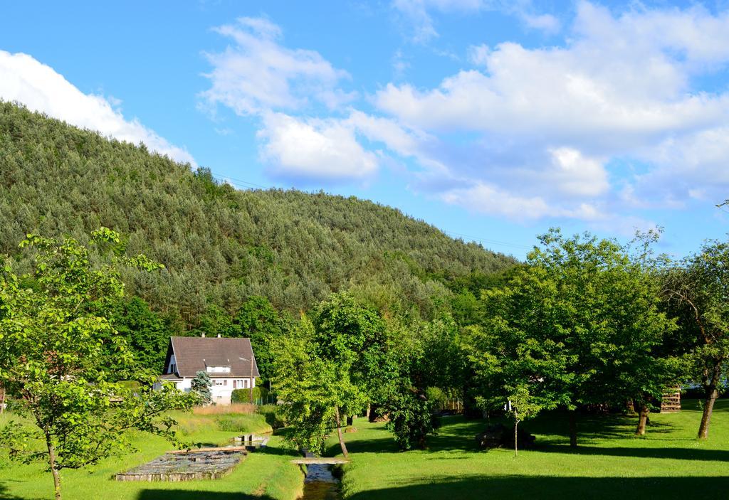 Le Gite De L'Ecureuil Sturzelbronn 外观 照片