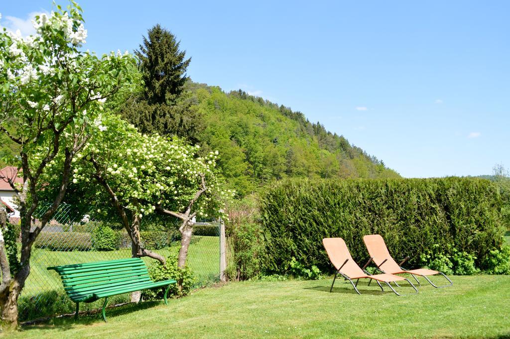 Le Gite De L'Ecureuil Sturzelbronn 外观 照片