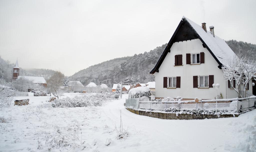 Le Gite De L'Ecureuil Sturzelbronn 外观 照片