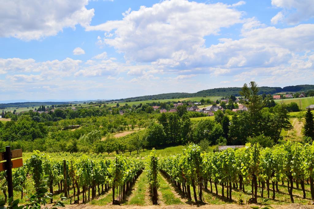 Le Gite De L'Ecureuil Sturzelbronn 外观 照片