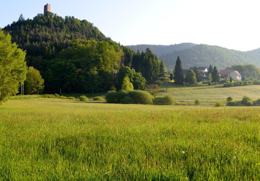 Le Gite De L'Ecureuil Sturzelbronn 外观 照片