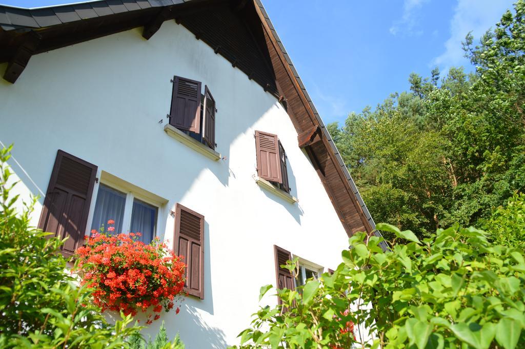 Le Gite De L'Ecureuil Sturzelbronn 外观 照片