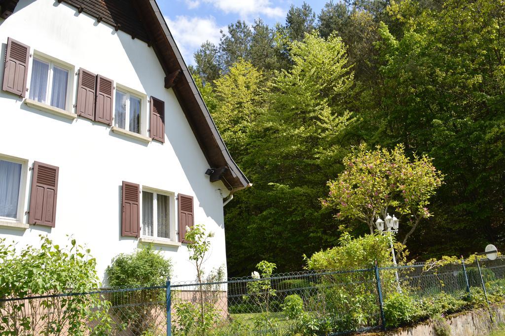Le Gite De L'Ecureuil Sturzelbronn 外观 照片