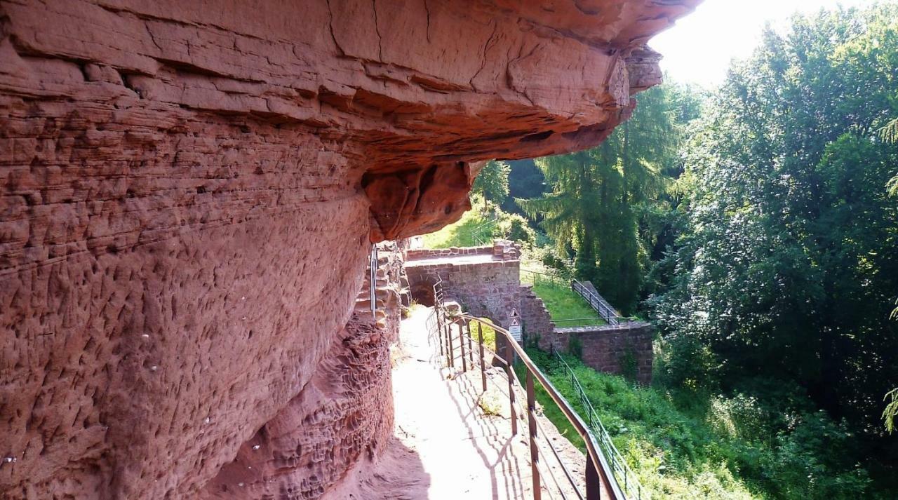 Le Gite De L'Ecureuil Sturzelbronn 外观 照片